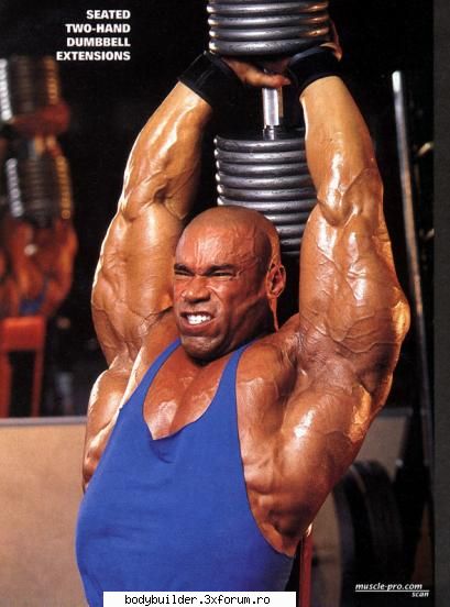 kevin levrone asa tricepsi