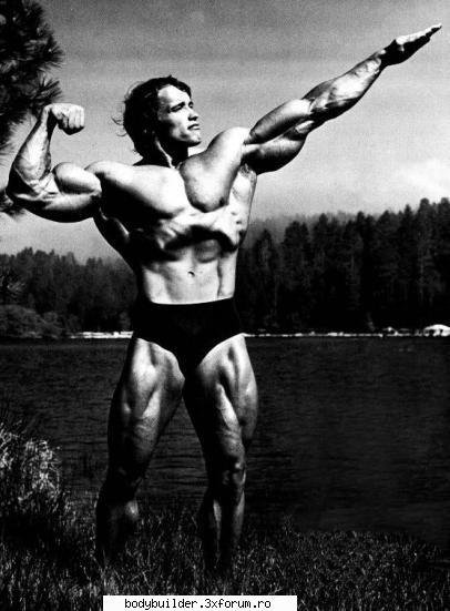 arnold the one