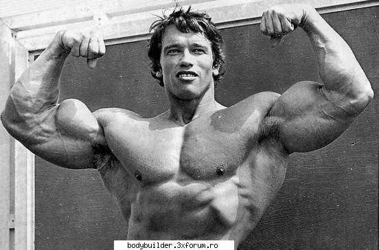 Arnold Schwarzenegger - profetu19 - Culturisti straini
