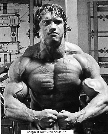 Arnold Schwarzenegger - profetu19 - Culturisti straini