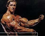 Arnold Schwarzenegger - profetu19 - Culturisti straini