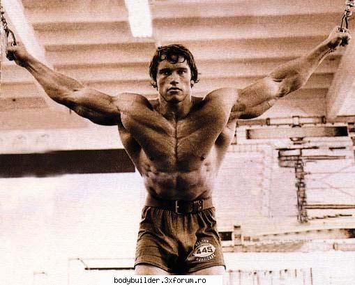 Arnold Schwarzenegger - profetu19 - Culturisti straini