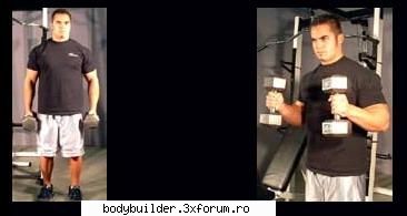Biceps - X-ti Baltaretu - Exercitii pentru culturism
