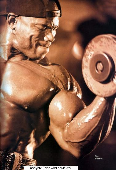Flex Wheeler - profetu19 - Culturisti straini