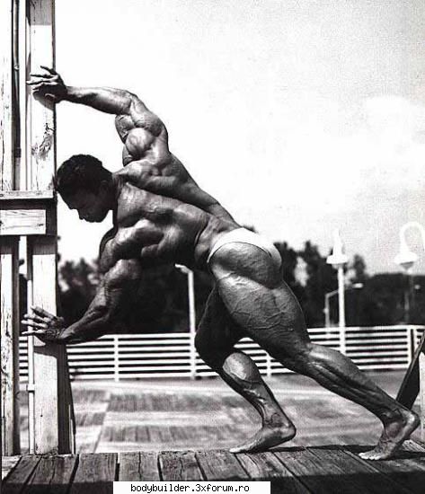 Kevin Levrone - profetu19 - Culturisti straini