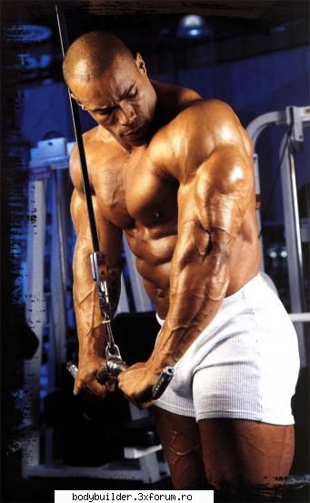 Kevin Levrone - triceps la puerea2 - Culturisti straini