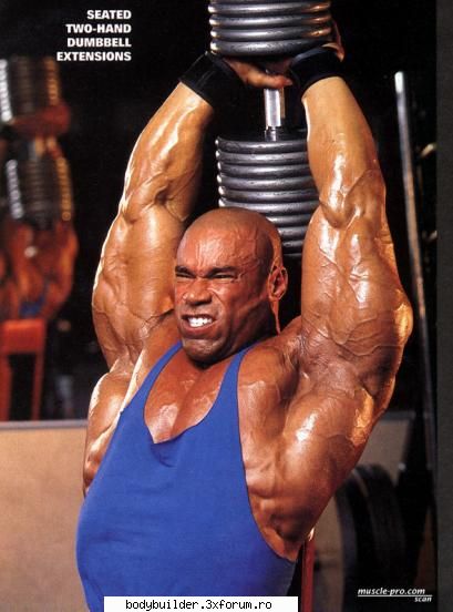 Kevin Levrone - asa da tricepsi - Culturisti straini