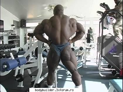 Ronnie Coleman - Assu - Culturisti straini
