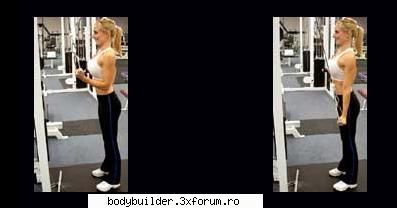 Triceps - Extensia bratului la scripete - Exercitii pentru culturism