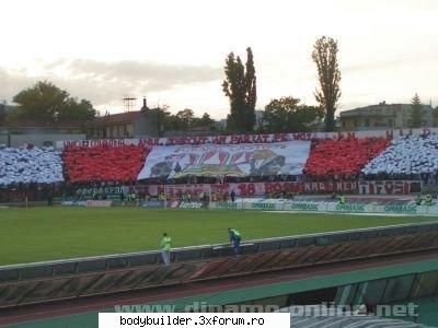 fotbal - blondu - Other sports