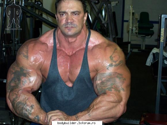 hugemusclexxl - mijto muschi....sunt un fan deal tau :D - Profile personale