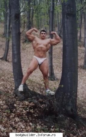 hugemusclexxl - In cautarea ursului pt. comparatii :D - Profile personale