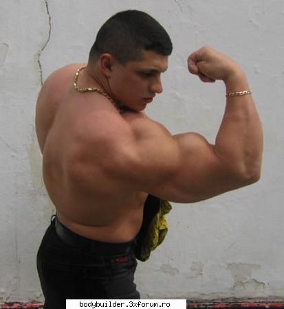 hugemusclexxl (3) - Profile personale